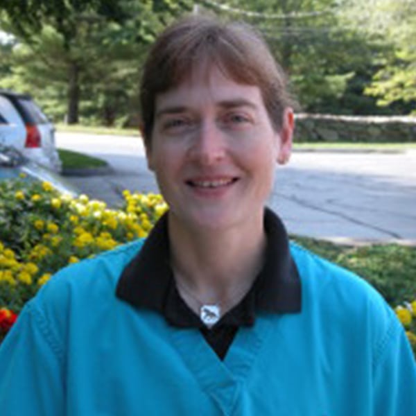 Veterinarians in Colchester: Dr. Seaton